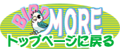 BIRDMORE HOME